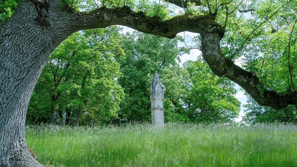 Der Park des Schlosses Rosenau bei Coburg in Bayern. Foto: Pia Bayer/dpa